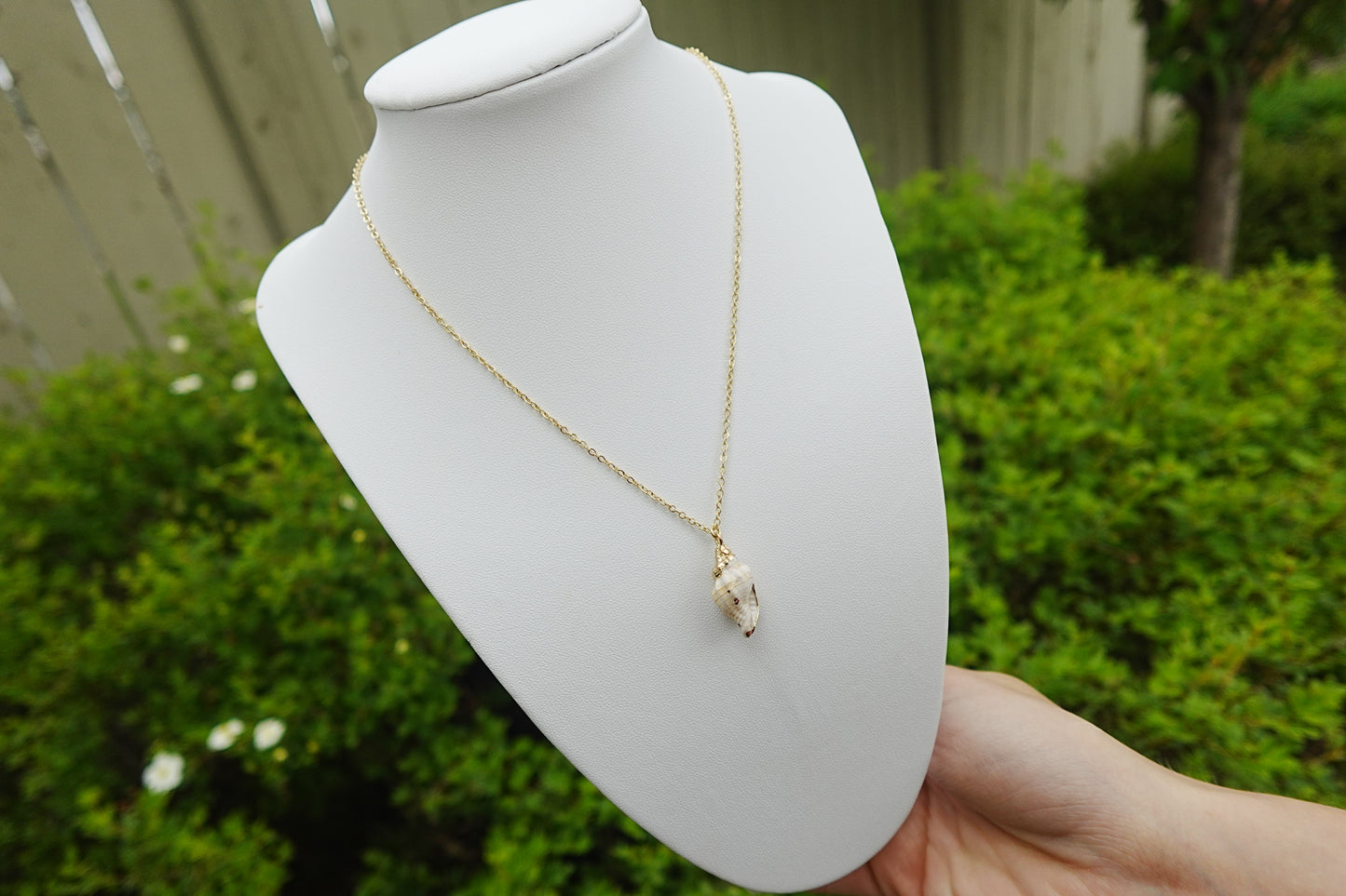 Summer Shell Necklace
